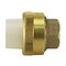 Apollo 1/2 in. Brass Solvent Weld CPVC x 1/2 in. Solder Union CPVCSWTU12 - alternate 2